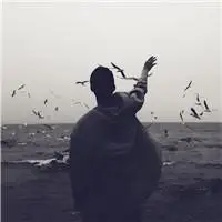 6686体育铁牌作者清酒与友